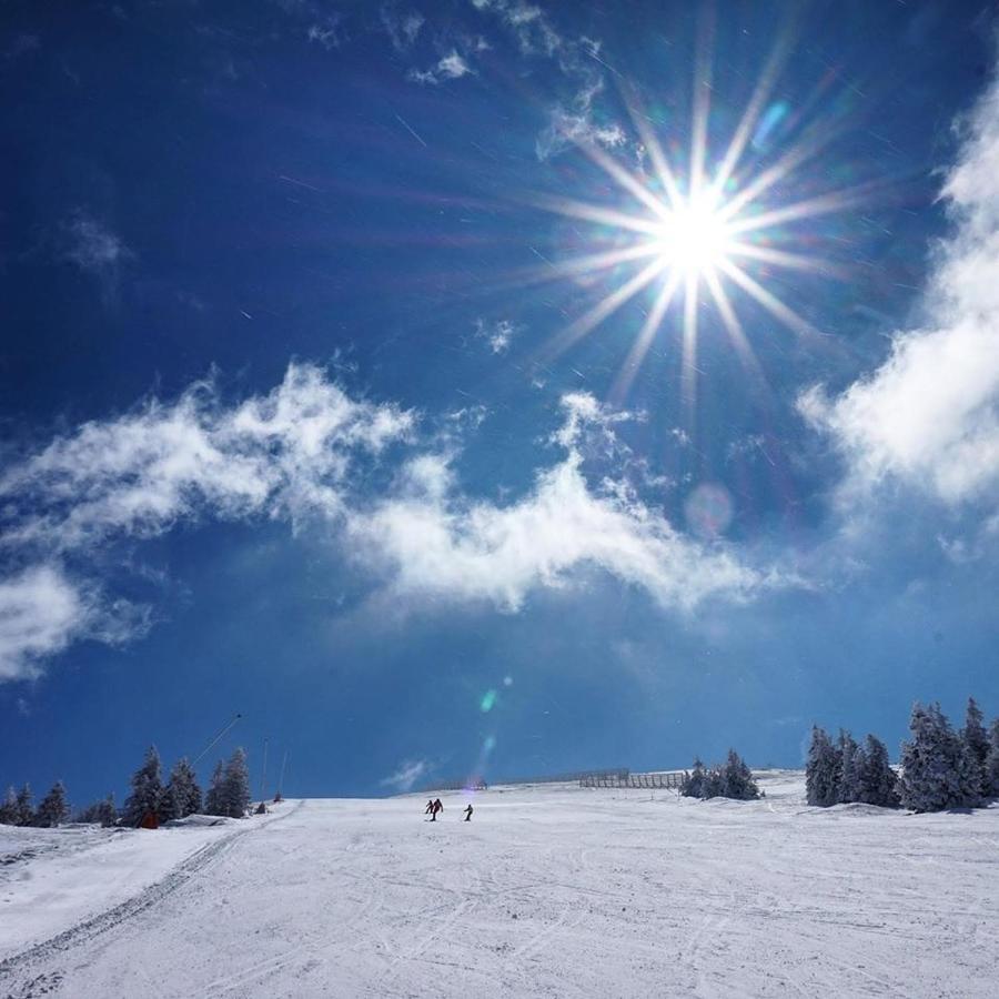 Ski & Spa Apartment N34 Milmari Resort Kopaonik Exterior photo