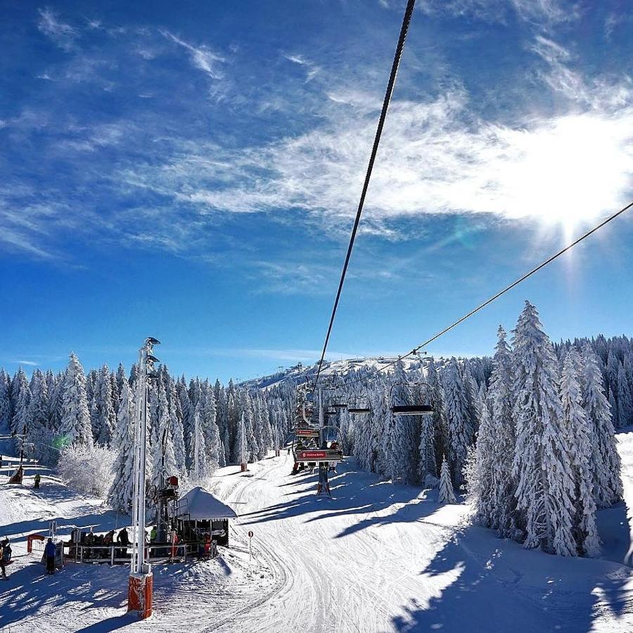 Ski & Spa Apartment N34 Milmari Resort Kopaonik Exterior photo