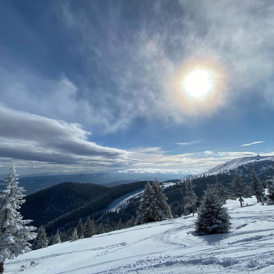 Ski & Spa Apartment N34 Milmari Resort Kopaonik Exterior photo
